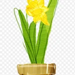 盆栽植物 高清PNG