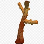 单个植物 高清PNG