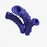 蓝色植物 PNG素材下载