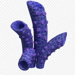 蓝植物 透明背景PNG