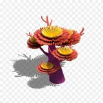 海底植物 PNG素材下载