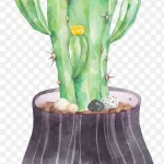 绿色手绘植物盆栽 透明背景PNG