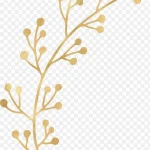 手绘植物 透明背景PNG