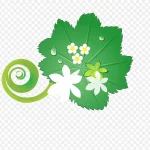 矢量叶藤植物 高清PNG