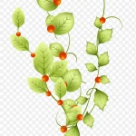 矢量叶藤植物 免费PNG素材