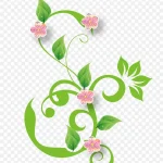 矢量花藤植物 高清PNG