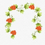 矢量花藤植物 透明背景PNG