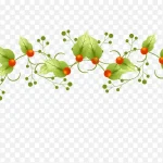 矢量爬藤植物 免费PNG素材