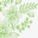 绿色线条花卉植物矢量图 透明背景PNG