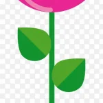 卡通盆栽清新植物 高清PNG