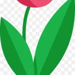 卡通盆栽清新植物 透明背景PNG