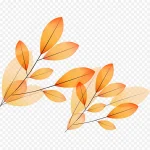 黄色叶子植物 免费PNG素材