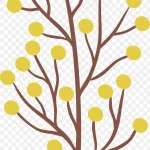 植物矢量素材 高清PNG