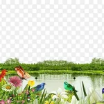 园林植物 免费PNG素材