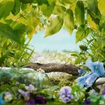 微距植物 透明背景PNG