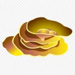 海底植物 透明背景PNG