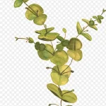 绿色手绘植物效果图 PNG素材下载