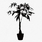 矢量植物 PNG素材下载