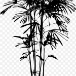 植物剪影 高清PNG