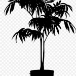 矢量植物 免费PNG素材