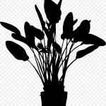 植物剪影 免费PNG素材