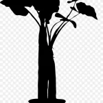 植物剪影 免费PNG素材