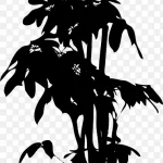 植物剪影 透明背景PNG