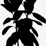 植物剪影 透明背景PNG