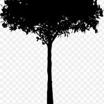 植物剪影 免费PNG素材