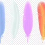彩色羽毛 免费PNG素材