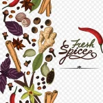 矢量彩色调料 PNG素材下载
