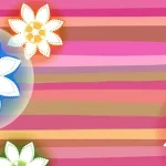 彩色的花 高清PNG