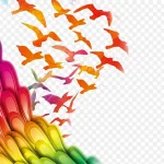 彩色鸟 羽毛 免费PNG素材