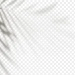 背景背景背景背景背景背景 免费PNG素材