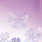 紫色背景 透明背景PNG