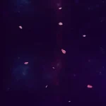 背景 免费PNG素材