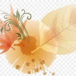 卡通背景元素 透明背景PNG