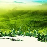 背景 PNG素材下载