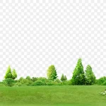 树木背景 透明背景PNG