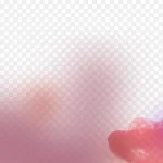 粉色背景 透明背景PNG
