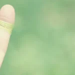 清新海报背景 透明背景PNG