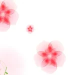 唯美花朵海报背景 PNG素材下载