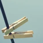 清新简约海报背景 透明背景PNG