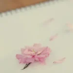 简约清新海报背景 免费PNG素材