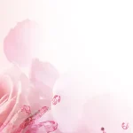 温馨花朵海报 透明背景PNG