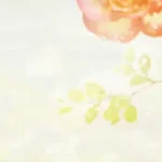 唯美大气花朵海报背景 透明背景PNG