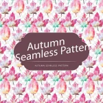 粉色背景 免费PNG素材