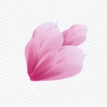 粉色花瓣 高清PNG
