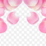 粉色花瓣 高清PNG