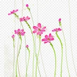 粉色花朵线条 透明背景PNG